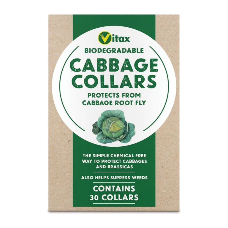 Vitax Biodegradable Cabbage Collars - Pack of 30 Collars