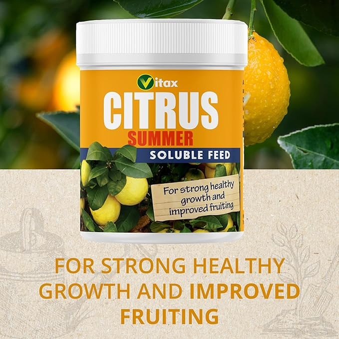 Vitax Citrus Feed - Summer 200g