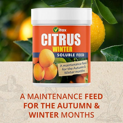 Vitax Citrus Feed - Winter 200g