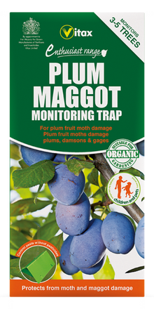 Vitax Plum Maggot Monitoring Trap