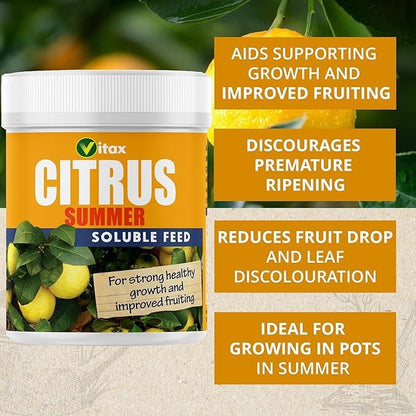 Vitax Citrus Feed - Summer 200g