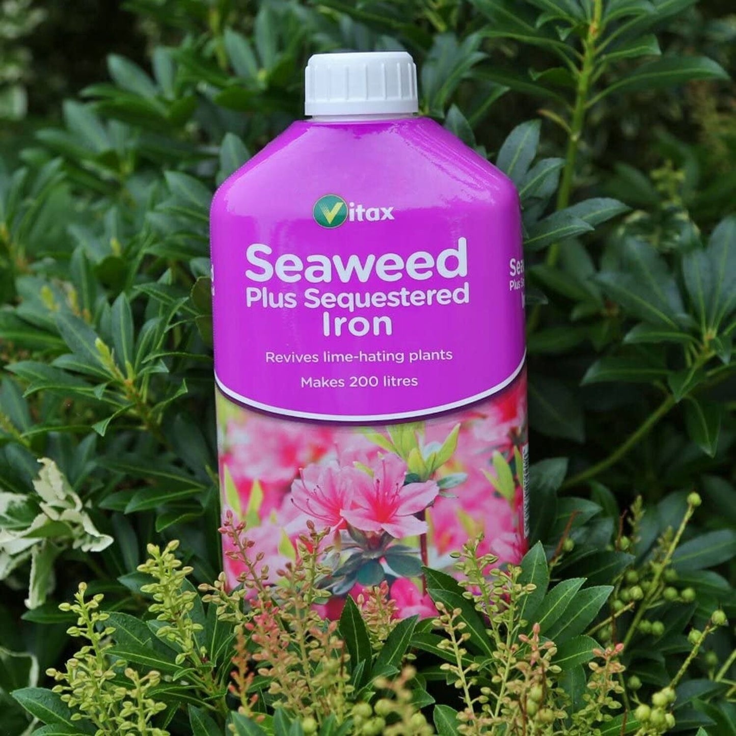 Vitax Liquid Seaweed Plus Sequestered Iron 1 Litre