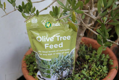 Vitax Olive Tree Feed 0.9kg Pouch