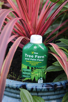 Vitax Tree Fern & Palm Feed 500ml