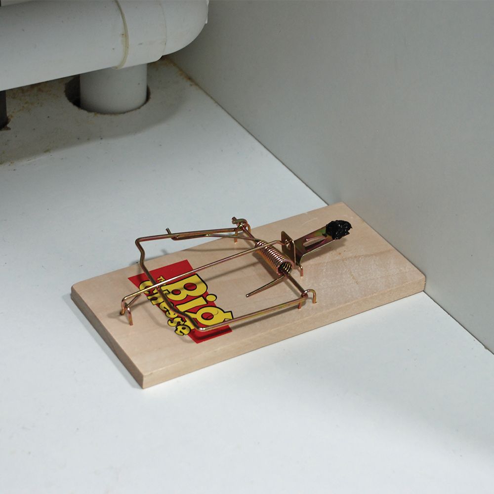 The Big Cheese Wooden Mouse Traps 4 Pack STV040