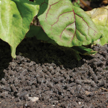 Defenders Slug Away Wool Pellets 3 Litre