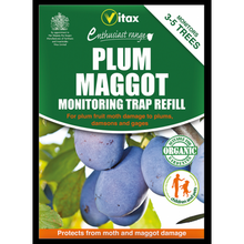 Vitax Plum Maggot Monitoring Trap REFILL