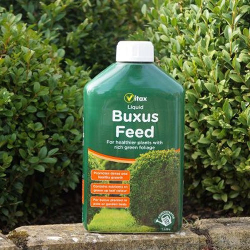 Vitax Liquid Buxus Feed 1 Litre