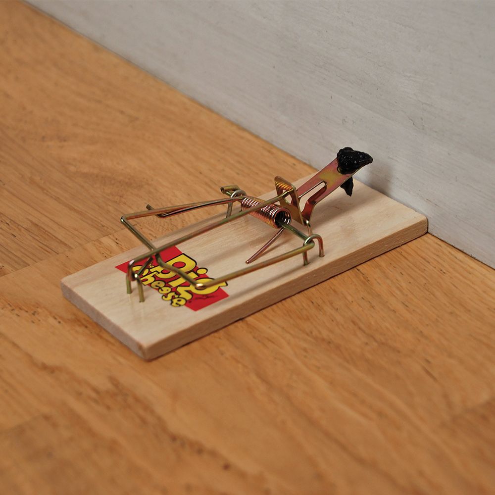 The Big Cheese Wooden Mouse Traps 4 Pack STV040