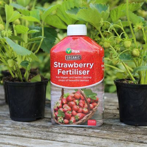 Vitax Organic Strawberry Fertiliser 1 Litre