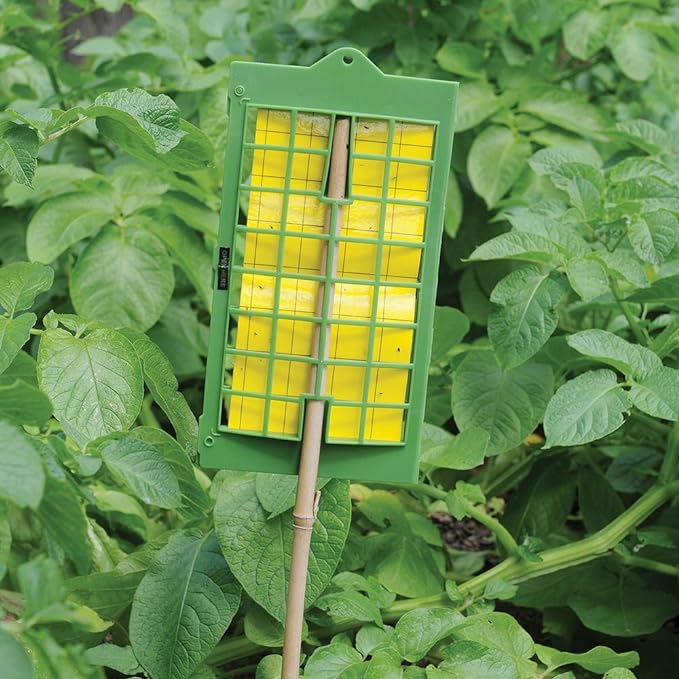 Defenders Insect Catcher Outdoor Protector