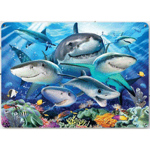 Shark Selfie Metal Wall Sign UK Made Large 40cm x 30cm / 16" x 12"